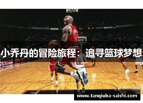 小乔丹的冒险旅程:追寻篮球梦想